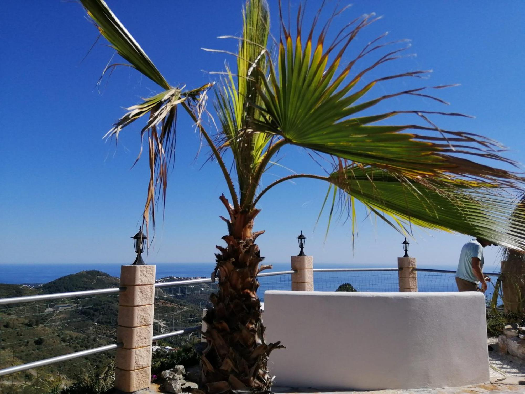 Finca Mariposa Mariposaholidays Nerja Exteriér fotografie